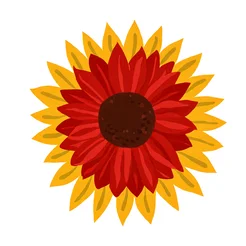 Free book club clipart of red and yellow sunflower